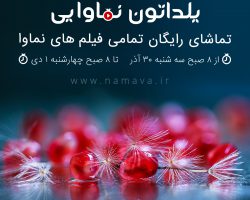 yalda 95 social