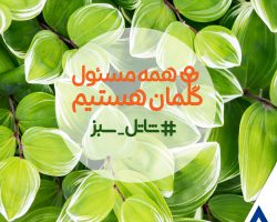 shatelsabz1