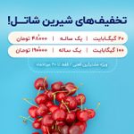 تخفیف‌های شیرین شاتل در داغ‌ترین ماه سال!