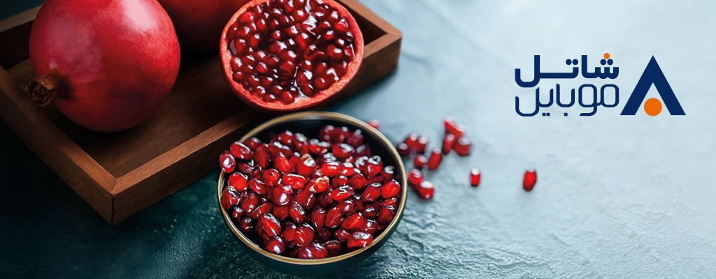 تخفیف ویژه یلدایی شاتل موبایل برای بسته‌های اینترنت پرحجم