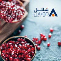 yalda.shatelmobile.404.khabart